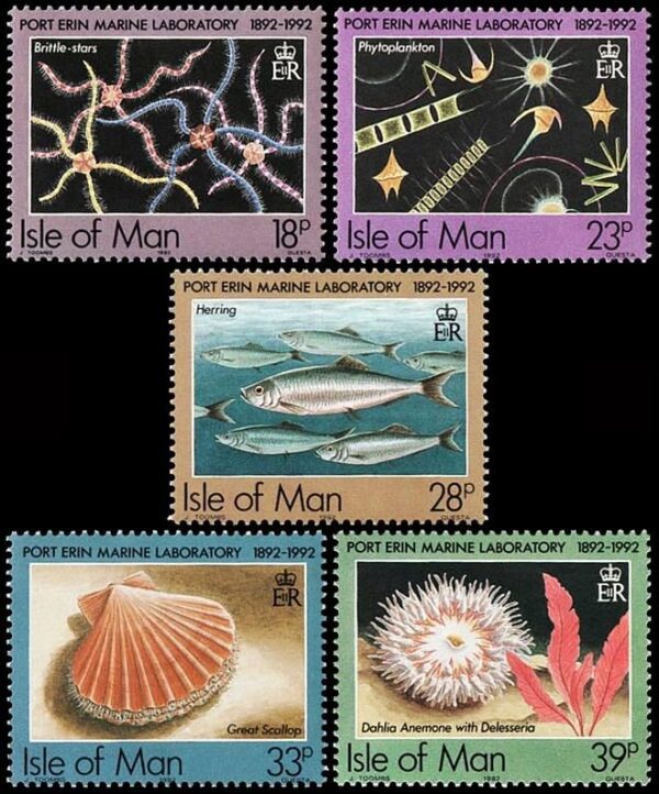 ISLA DE MAN/SELLOS, 1992 - FAUNA MARINA - ESTRELLA DE MAR - CARACOLES - PECES - YV 541/45 - 5 VALORES - NUEVO