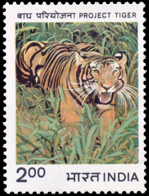 INDIA/STAMPS, 1983 - TIGER PROTECTION - FAUNA - YV 786 - 1 VALUE - MNH