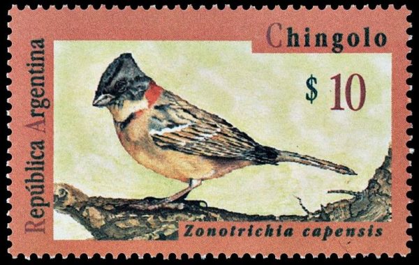 ARGENTINA/SELLOS, 1995 - AVES DE ARGENTINA - CHINGOLO - SELLO ORDINARIO - CAT GJ 2732 - 1 VALOR - NUEVO