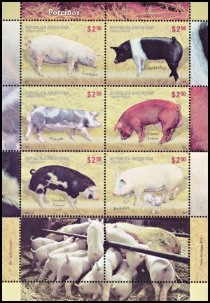 ARGENTINA/SELLOS, 2011 - ANIMALES DE PRODUCCION - PORCINOS - CAT GJ HB 232 -BLOQUE - NUEVO
