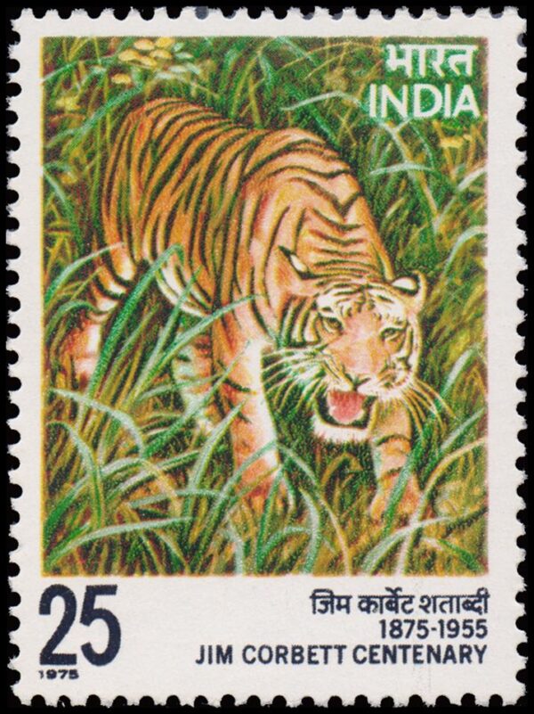 INDIA/STAMPS, 1976 - FAUNA - TIGER - JIM COBERTT, NATURALIST - YV 469 - 1 VALUE - MNH