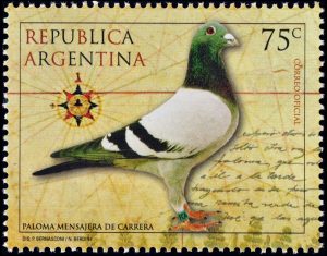 ARGENTINA/SELLOS, 1999 - PALOMAS MAENSAJERAS DE CARRERA - CAT GJ 2958 - 1 VALOR - NUEVO