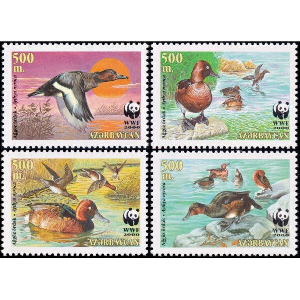 AZERBAIJAN/SELLOS, 2000 - W.W.F. - PATOS - YV 395/98 - 4 VALORRES - NUEVO