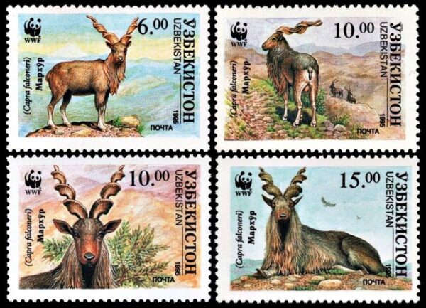 UZBEKISTAN/SELLOS, 1995 - W.W.F. FAUNA - CABRAS MARJOR - Yv. 61AA/AD - 4 VALORES - NUEVO