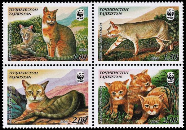 TADJIKISTAN/SELLOS, 2002 - W.W.F. - GATO DE LA SELVA - YV 145/48 - 4 VALORES - NUEVO