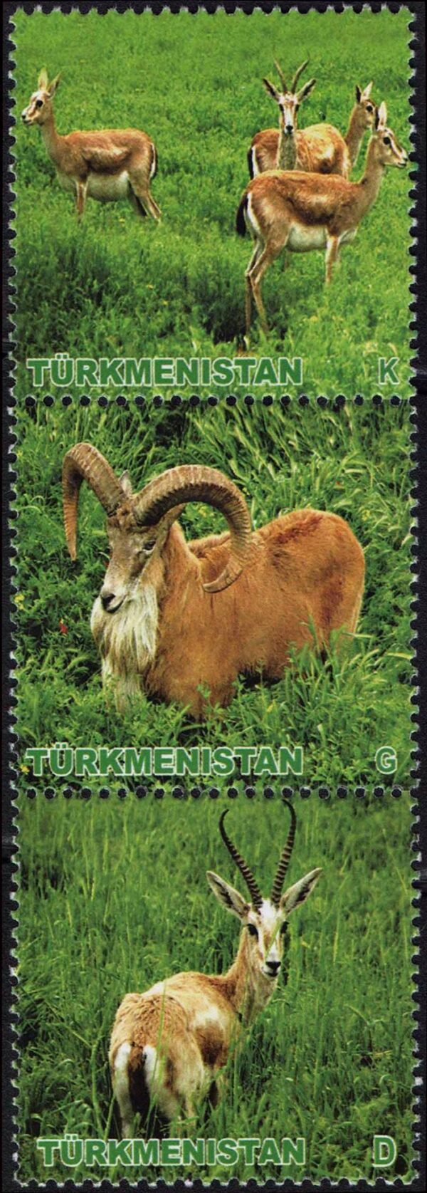 TURKMENISTAN/SELLOS, 2009 - FAUNA - YV 267/9 - 3 VALORES - NUEVO