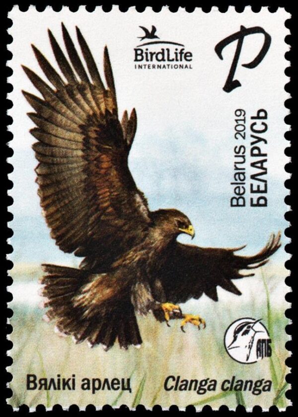 BIELORRUSIA/SELLOS, 2019 - FAUNA - AVES DE PRESA - YV 1079 - 1 VALOR - NUEVO