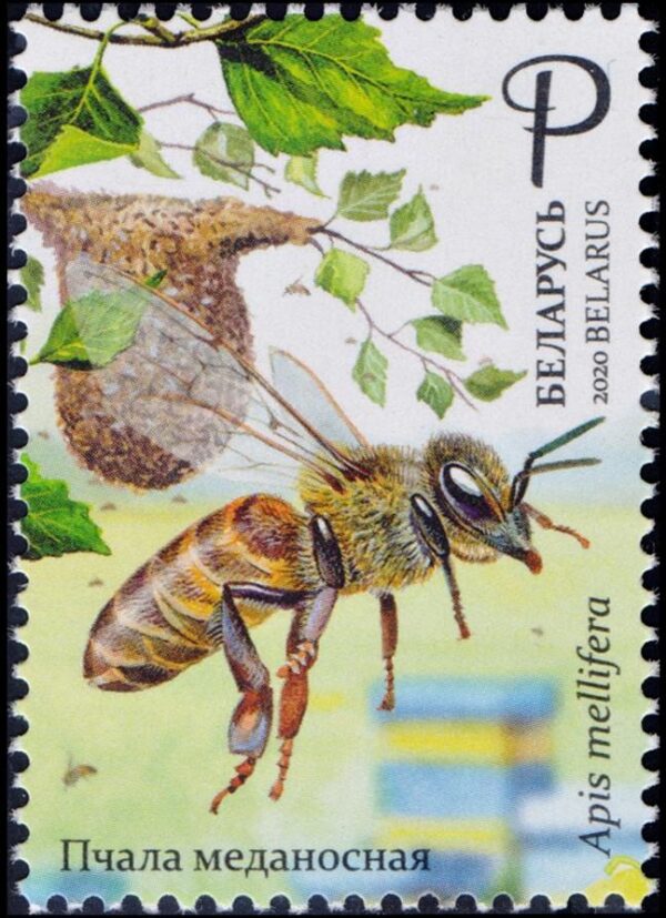 BIELORRUSIA/SELLOS, 2020 - ABEJAS - APICULTURA - YV 1146 - 1 VALOR - NUEVO