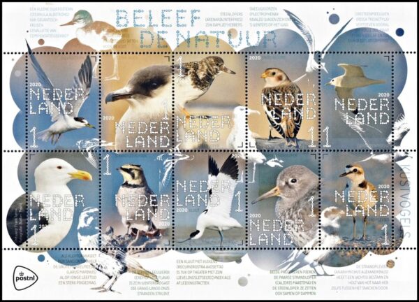 NETHERLANDS/SELLOS, 2020 -SEA BIRDS - YV 3860/69 - MINI SHEET - SELF-ADHESIVE STAMPS