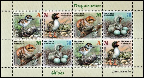 BIELORRUSIA/SELLOS, 2018 - FAUNA - AVES - YV 2028/31 - HOJITA - NUEVO