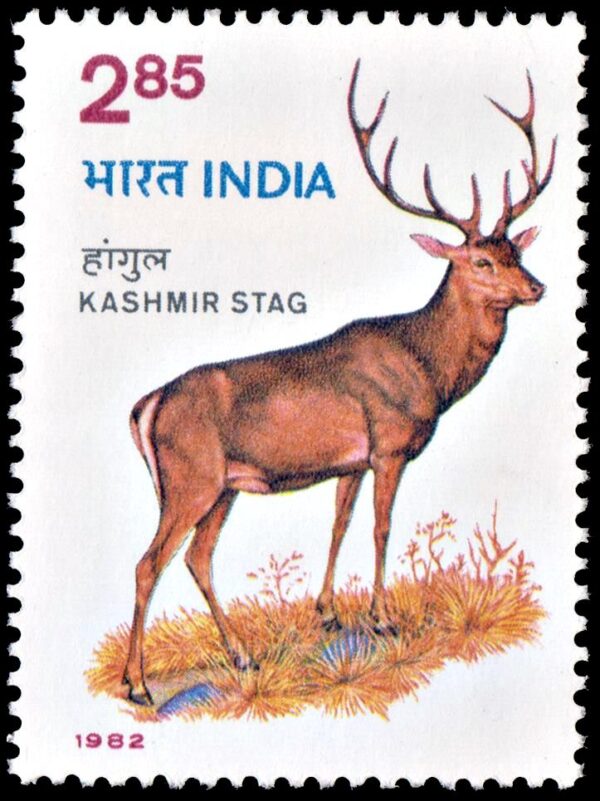 INDIA/STAMPS, 1982 - WILDLIFE PROTECTION - MAMMALS - DEER - YV 726 - 1 VALUE -MINT