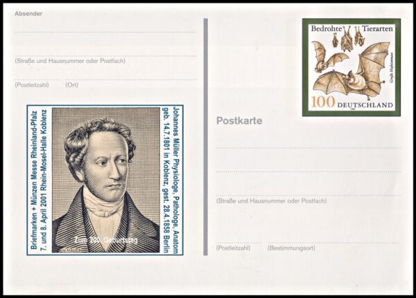 GERMANY/POSTCARD STATIONERY, 1999 - BATS - JOHANNES MULER - ANATOMIST - 1 CARD