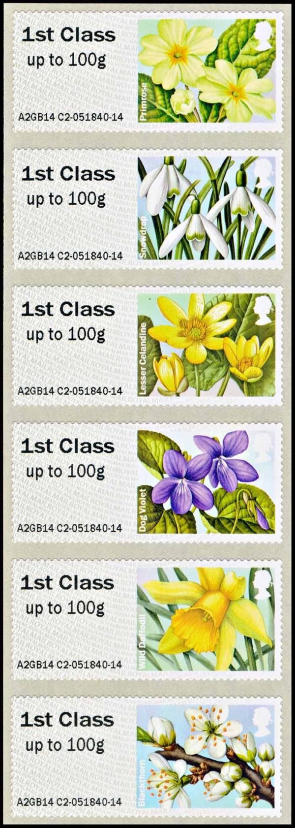 GREAT BRITAIN/STAMPS, 2014 - FLOWERS -  POST & GO - YV TD 64/69 - SELF ADHESIVE STAMPS DISTRUBUTION