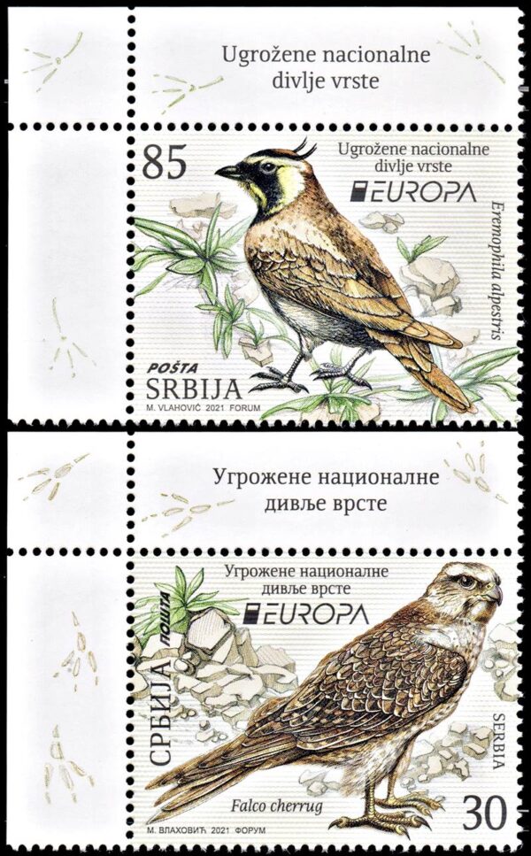 SERBIA/STAMPS, 2021 - EUROPE - BIRDS - ENDANGERED NATIONAL FAUNA - YV 993/94 - 2 VALUES - MNH