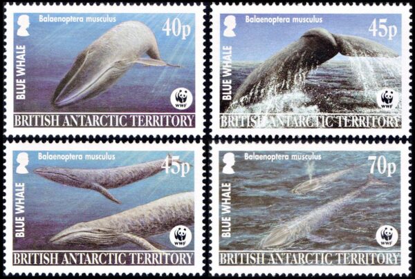 ANTARTIDA BRITANICA (BAT) SELLOS, 2003 – W.W.F. – BALLENA AZUL – YV 382/85 – 4 VALORES – NUEVO