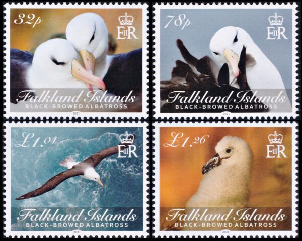 FALKLANDS/STAMPS, 2021 - BIRDS - ALBATROSS - YV 1378/81 - 4 VALUES - MNH