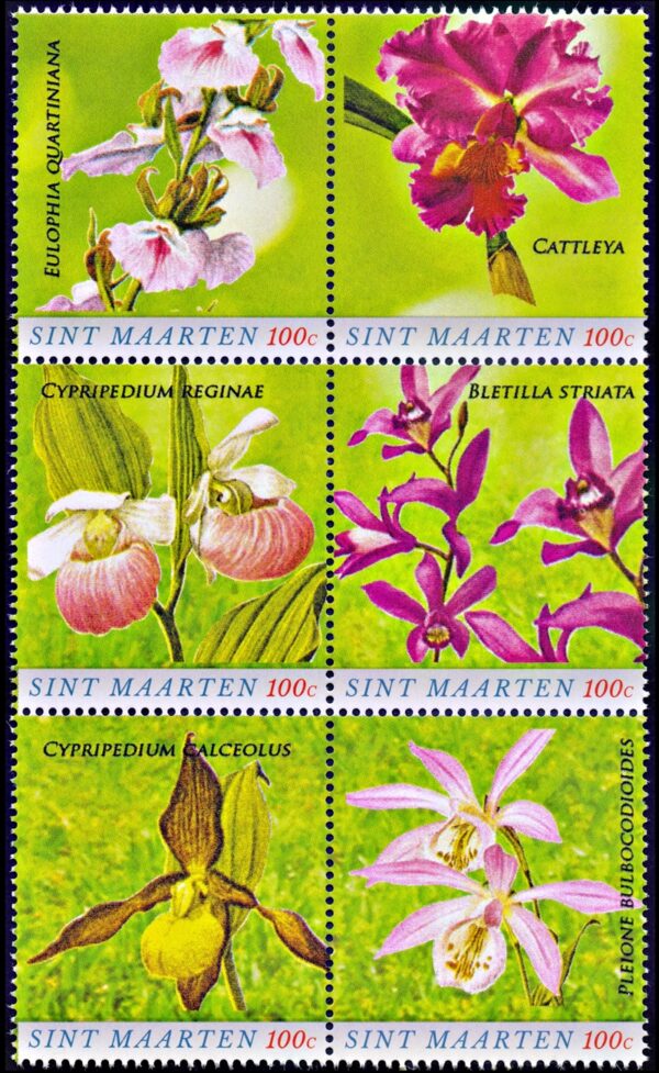 SAINTMARTIN/STAMPS, 2020 - FLOWERS - ORCHIDS - YV 502/07- 6 VALUES - MNH