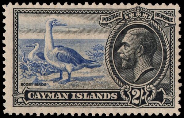 CAYMAN/STAMPS, 1935 - GEORGE V - SEABIRDS - YV 98 - 1 VALUE - MINT