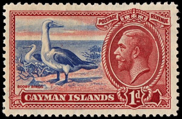 CAYMAN/STAMPS, 1935 - GEORGE V - SEABIRDS - YV 91 - 1 VALUE - MNH