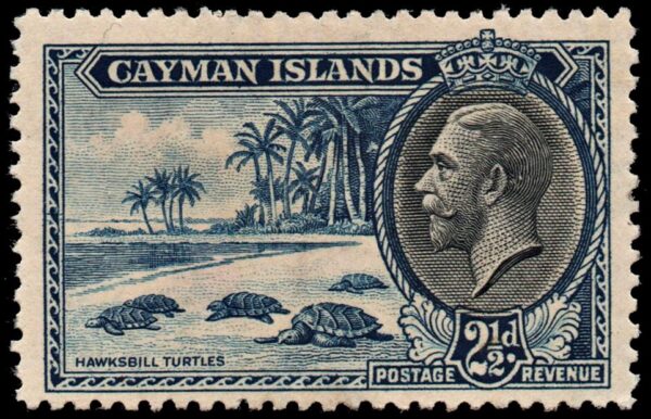 CAYMAN/STAMPS, 1935 - GEORGE V - SEA TURTLES - YV 94 - 1 VALUE - MNH