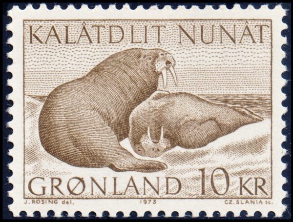 GREENLAND/STAMPS, 1973 - MARINE FAUNA - WALRUS - YV 71 - 1 VALUE - MNH