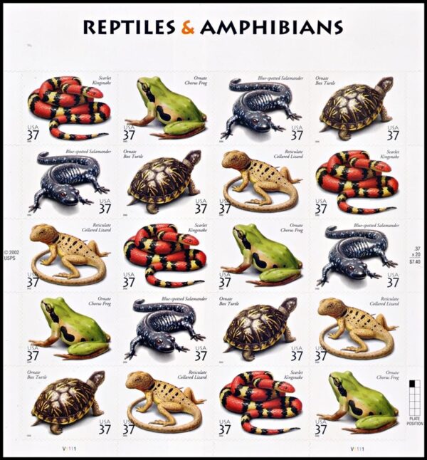 UNITED STATES/STAMPS, 2003 - FAUNA - REPTILES - BATRACIANS - YV 3506/10 - 5 VALUES - SHEET - SELF-ADHESIVE STAMPS