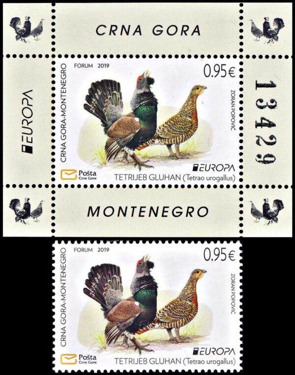 MONTENEGRO/SELLOS, 2019 - TEMA EUROPA - AVES - YV 430 + BF 23 - 1 VALOR - BLOQUE - NUEVO