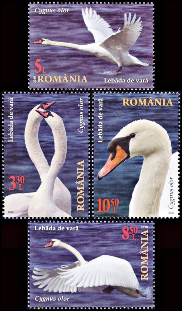 RUMANIA/SELLOS, 2020 - AVES - CISNES  - YV 6613/16 -  4 VALORES - NUEVO