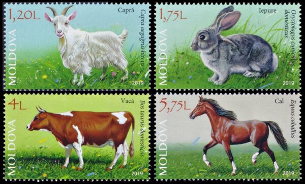 MOLDAVIA/SELLOS, 2019 - FAUNA - ANIMALES DOMESTICOS - YV 967/70  - 4 VALORES - NUEVO