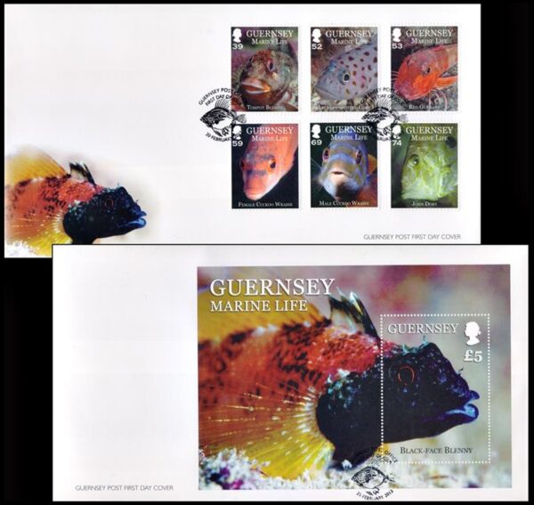 GUERNSEY/SELLOS, 2013 - FAUNA MARINA - PECES - YV 1418/23 + BF 79 - 6 VALORES + BLOQUE - 2 SOBRES PRIMER DIA EMISION