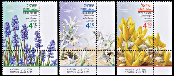 ISRAEL/SELLOS, 2019 - FLORES DE OTOÑO - YV 2605/07 - 3 VALORES  - NUEVO