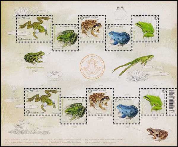 BELGICA/SELLOS, 2022 - FAUNA - BATRACIOS - YV 5098/102 - HOJITA - NUEVO