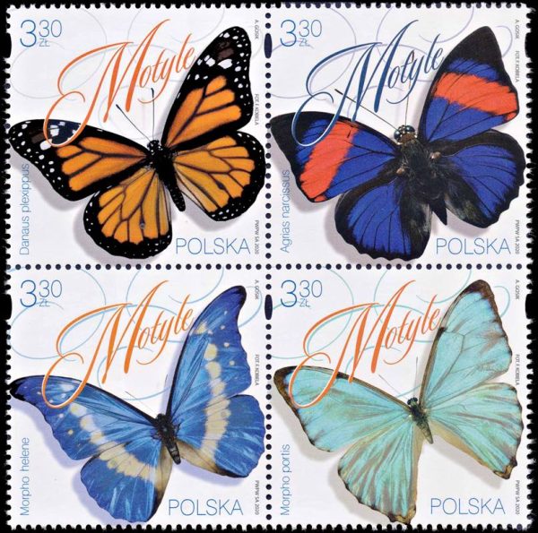 POLONIA/SELLOS, 2020 - FAUNA - MARIPOSAS - YV 4799/802 - 4 VALORES - NUEVO