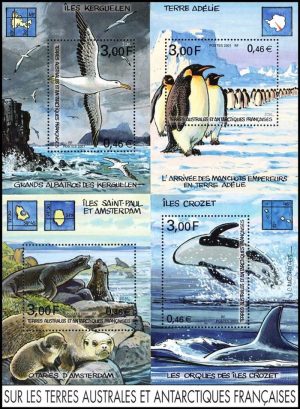 ANTARTIDA FRANCESA (T.A.A.F.) SELLOS, 2001 - FAUNA ANTARTICA - MAPAS - YV BF 5 - BLOQUE - NUEVO