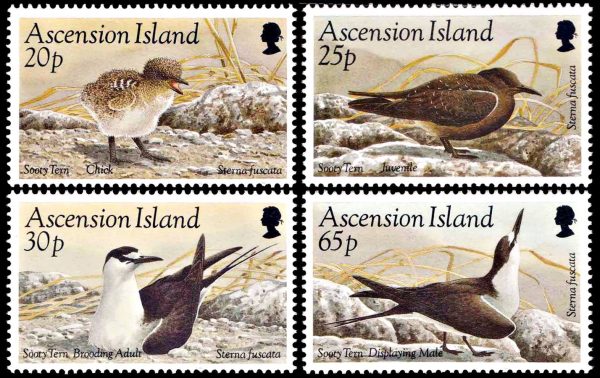 ASCENSION/SELLOS, 1994 -  AVES MARINAS - GAVIOTA MONJA - YV 614/17 - 4 VALORES - NUEVO