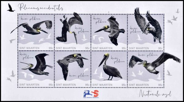 SAINT MARTIN (HOLANDA) SELLOS, 2022 - AVES - PELICANOS - YV 535/42 - HOJITA - NUEVO