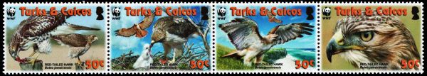 TURKS Y CAICOS/SELLOS, 2008 - W.W.F. FAUNA PROTEGIDA: EL RATONERO DE COLA ROJA - YV 1679/82 - 4 VALORES -  NUEVO (copia)