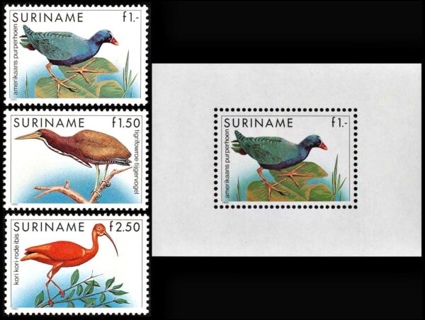 SURINAM/SELLOS, 1985 – FAUNA – AVES – SERIE ORDINARIA – YV 1014/16 + BF 48 – 3 VALORES + BLOQUE – NUEVO