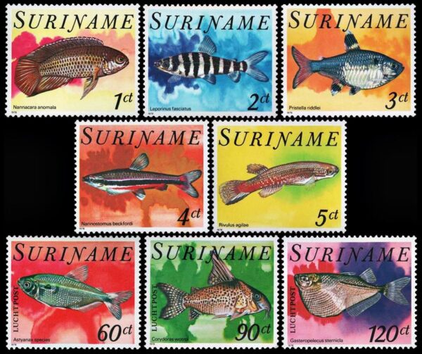 SURINAM/SELLOS, 1978 - PECES TROPICALES - YV 724/28 + A 78/80 - 8 VALORES - NUEVO