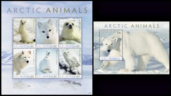 SAN KITTS/SELLOS, 2010 - FAUNA - ANIMALES DEL ARTICO - OSO POLAR - SCOTT 765 + 766 - HOJITA + BLOQUE - NUEVO