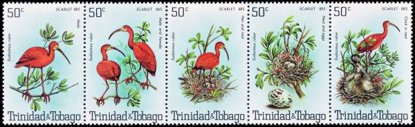 TRINIDAD AND TOBAGO/STAMPS, 1980 - FAUNA - BIRDS - SCARLET IBIS - YV 413/17 - 5 VALUES - MNH