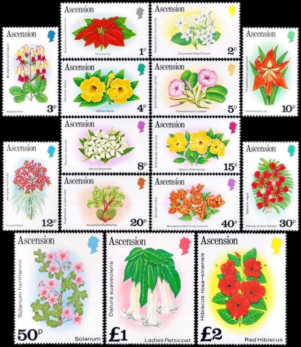 ASCENSION/STAMPS, 1981 - DEFINITIVES - ELIZABETH II - FLOWERS - YV 277/91 - 15 VALUES - MNH