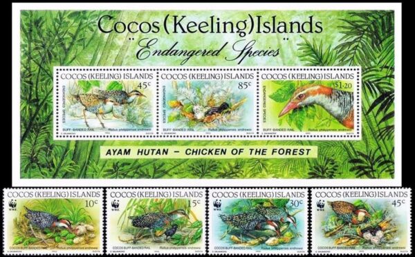 COCOS/SELLOS, 1992 – W.W.F. PROTECCION DE LA NATURALEZA - AVES - RASCON FRANJEADO  – YV 251/54 + BL 12 – 4 VALORES + BLOQUE – NUEVO - MINT