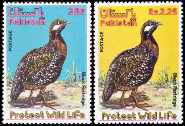 PAKISTAN/SELLOS, 1975 - FAUNA - AVES - FRANCOLIN VENTRINEGRO - YV 384/85 - 2 VALORES - NUEVO - MINT