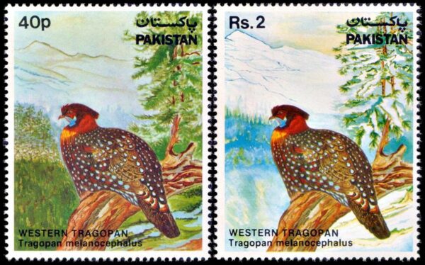 PAKISTAN/SELLOS, 1981 - FAUNA - AVES - FAISANES - YV 546/47 - 2 VALORES - NUEVO - MINT