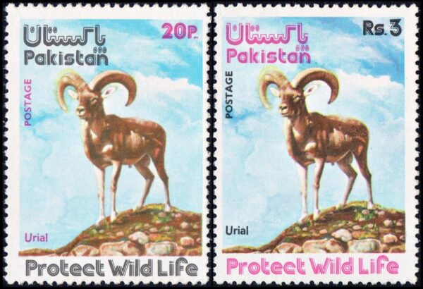 AKISTAN/SELLOS, 1975 - PROTECCION DE LA NATURALEZA - MOFLON ASIATICO - YV 390/91 - 2 VALORES - NUEVO - MINT