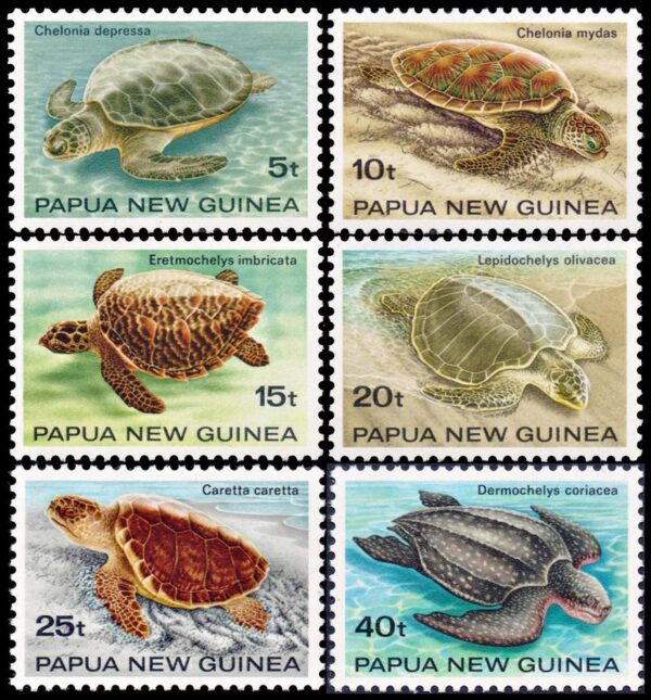 PAPUA NEW GUINEA/STAMPS, 1984 - FAUNA - SEA TURTLES - YV 466/71 - 6 VALUES - MNH