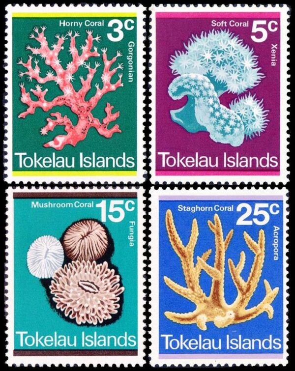 TOKELAU/STAMPS, 1973 - MARINE  LIFE - CORALS - YV 37/40 - 4 VALUES - MNH - MINT