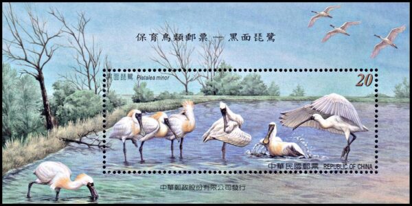 FORMOSA (TAIWAN) SELLOS, 2004 - PROTECCION DE LAS  AVES - PEQUEÑAS ESPATULAS  - YV BF 112 - BLOQUE - NUEVO - MINT