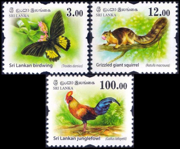 SRI LANKA/SELLOS, 2018 - FAUNA SILVESTRE - AVES - ARDILLA - GALLO - YV 2148/50 - 3 VALORES - NUEVO - MINT